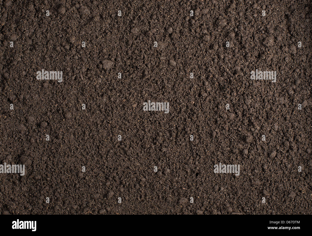 Dark Soil Texture