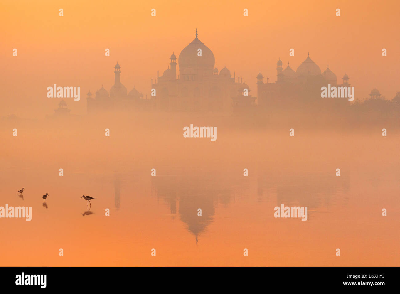 Skyline of Taj Mahal,  Agra, Uttar Pradesh, India Stock Photo