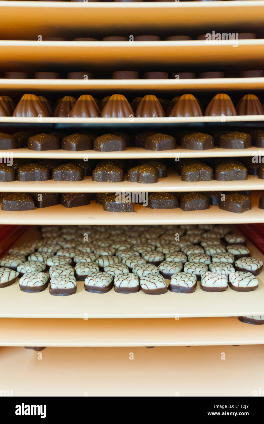 Trays with chocolate candies at the Swiss chocolate factory of Lindt & Spruengli in Zurich/Kilchberg Stock Photo