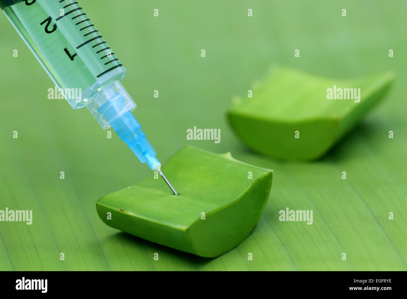 Close up of Injection syringe and fresh aloe vera Stock Photo