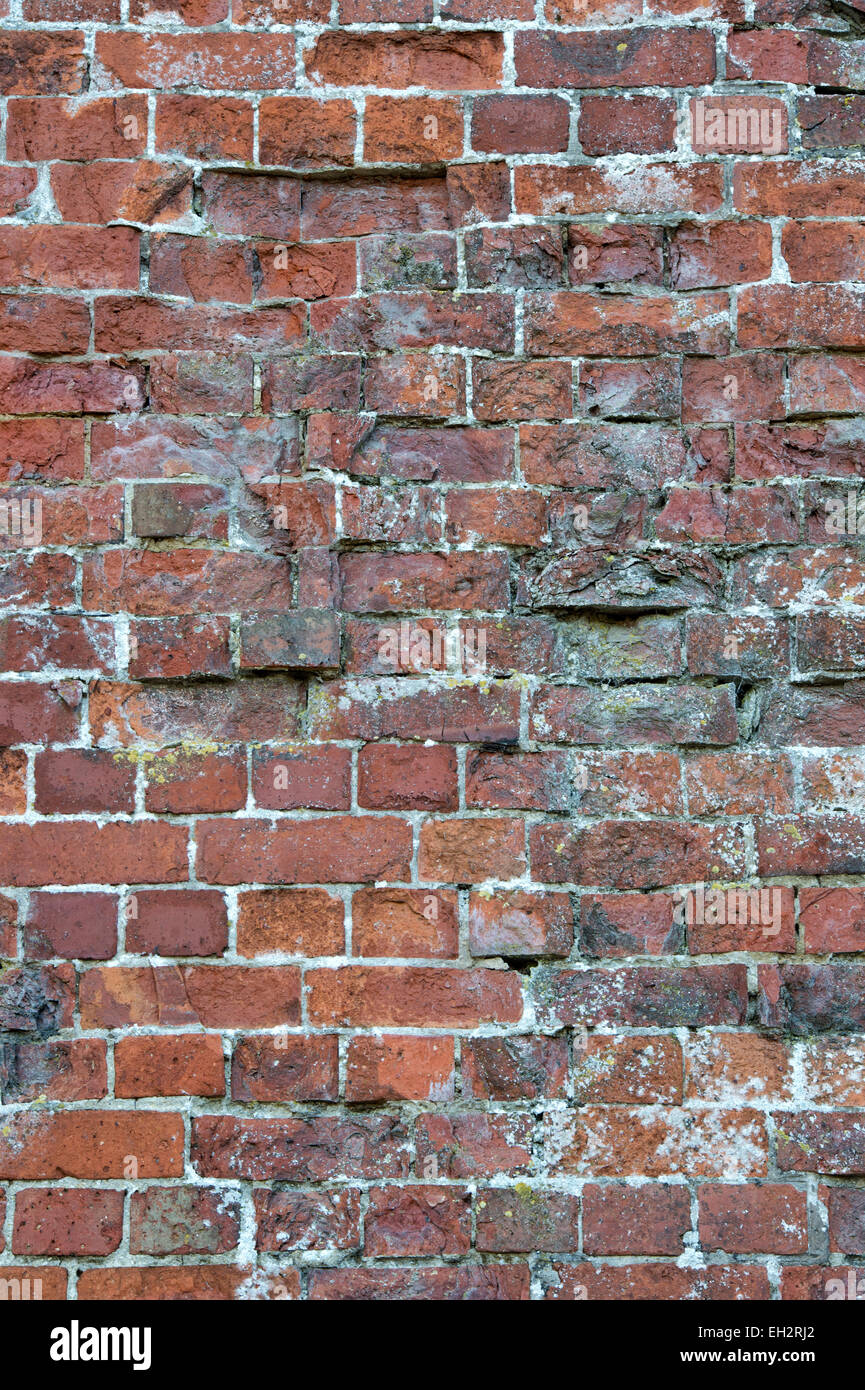 Old garden brick wall Stock Photo