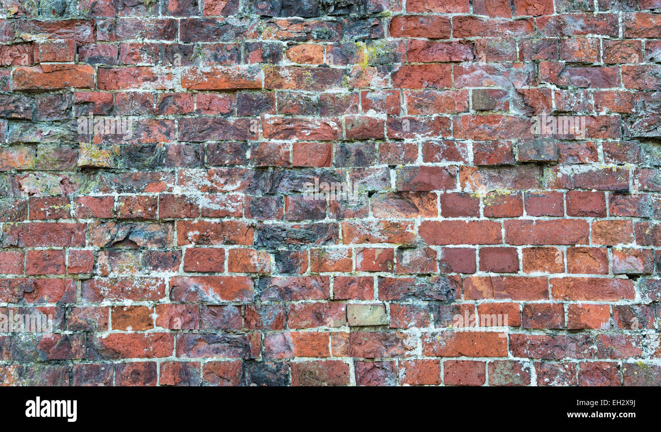 Old garden brick wall Stock Photo