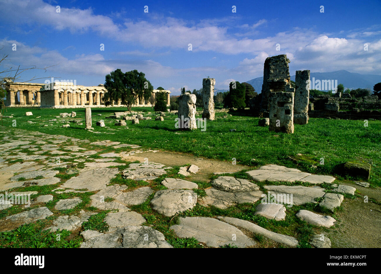 Italy, Campania, Paestum, sacred street Stock Photo