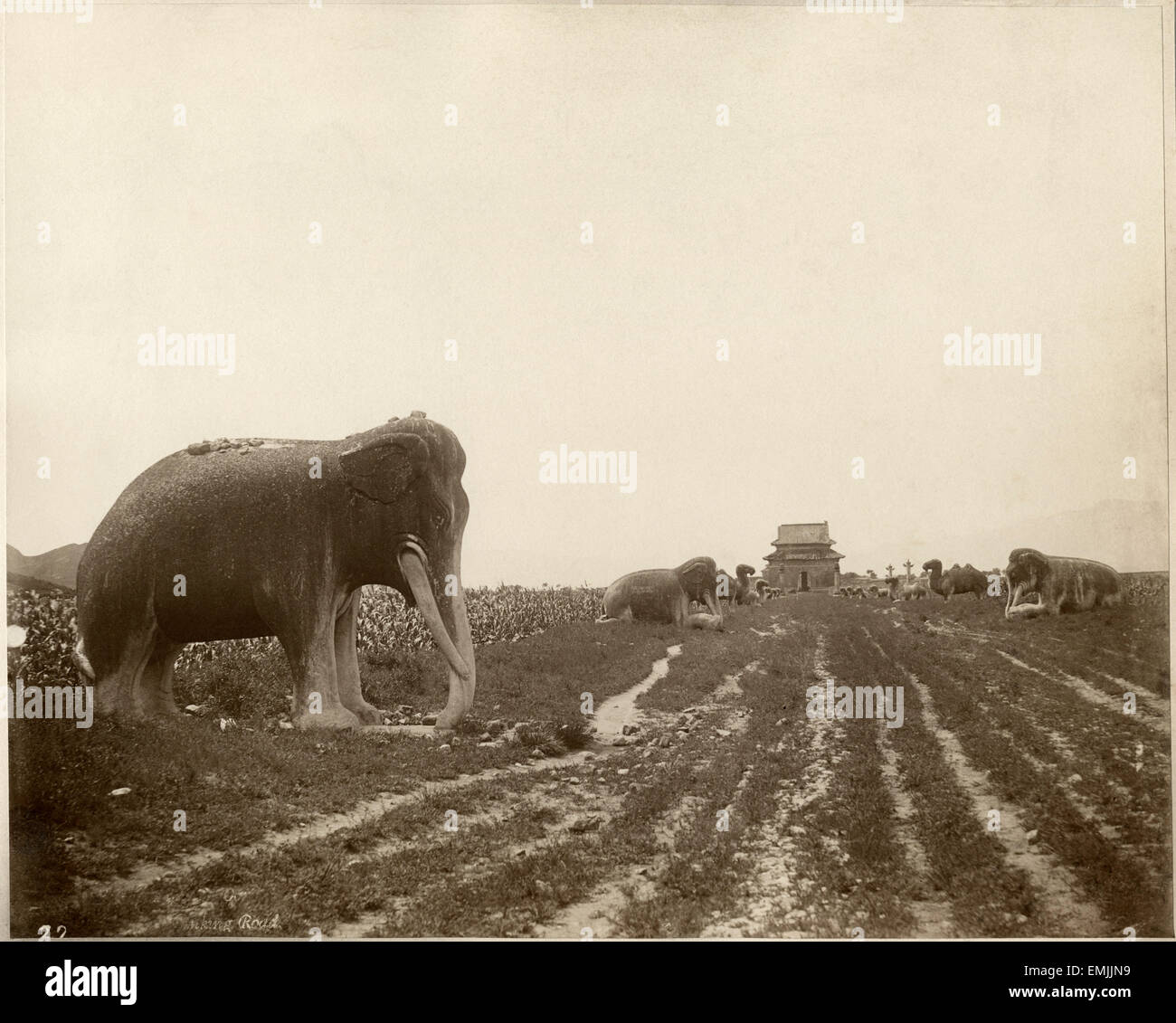 Sacred Way and Ming Tombs, Beijing, China, Albumen Print, circa 1890 Stock Photo