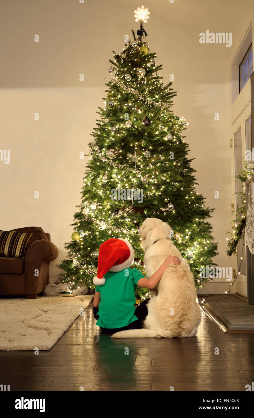 CHRISTMAS TREE DOG Young 4-6 years boy and his pet dog sitting looking at their Christmas tree lit up at home Stock Photo