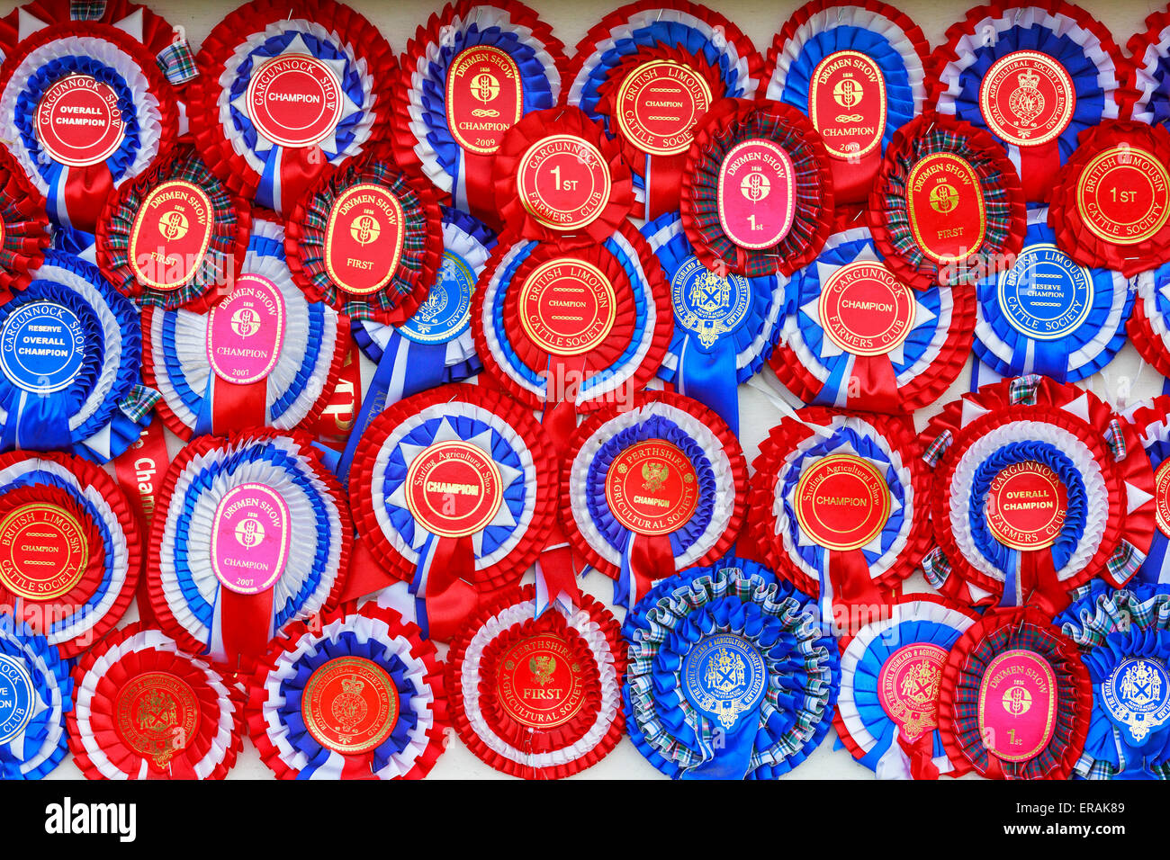 Selection of prize winning rosettes at a country fair, near Glasgow, Scotland, UK Stock Photo