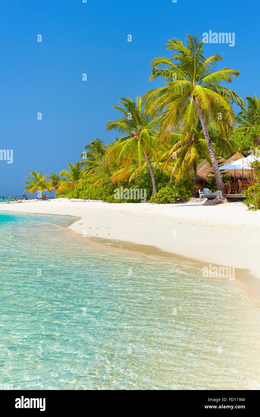 tropical beach at Maldives Island, Ari Atoll Stock Photo