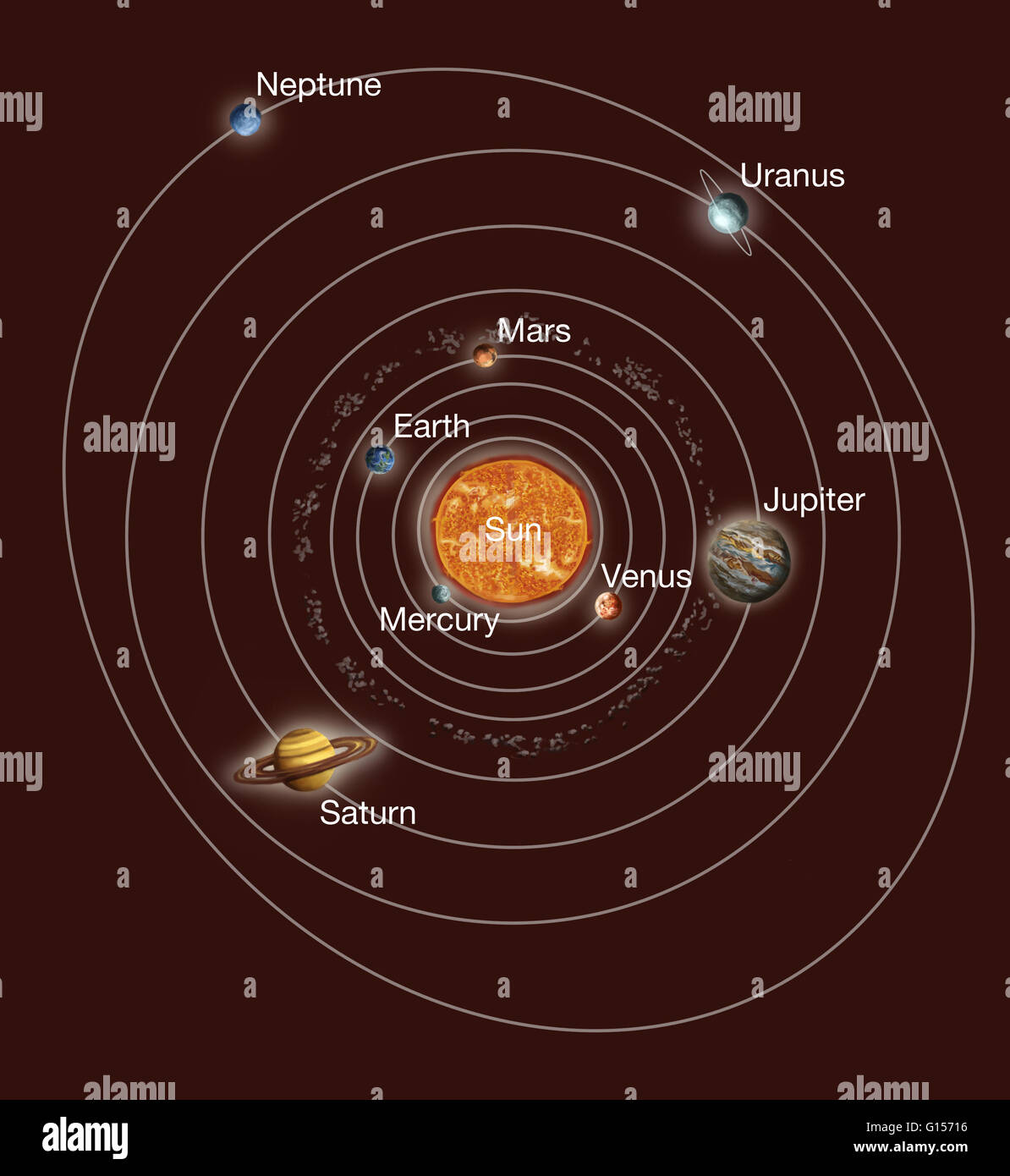 Solar System orbits. Artwork of Earth's solar system, showing the eight planets that orbit the Sun. Most of the mass of the solar system is found in the Sun. The eight planets, from inner to outer, are: Mercury, Venus, Earth, Mars, Jupiter, Saturn, Uranus Stock Photo