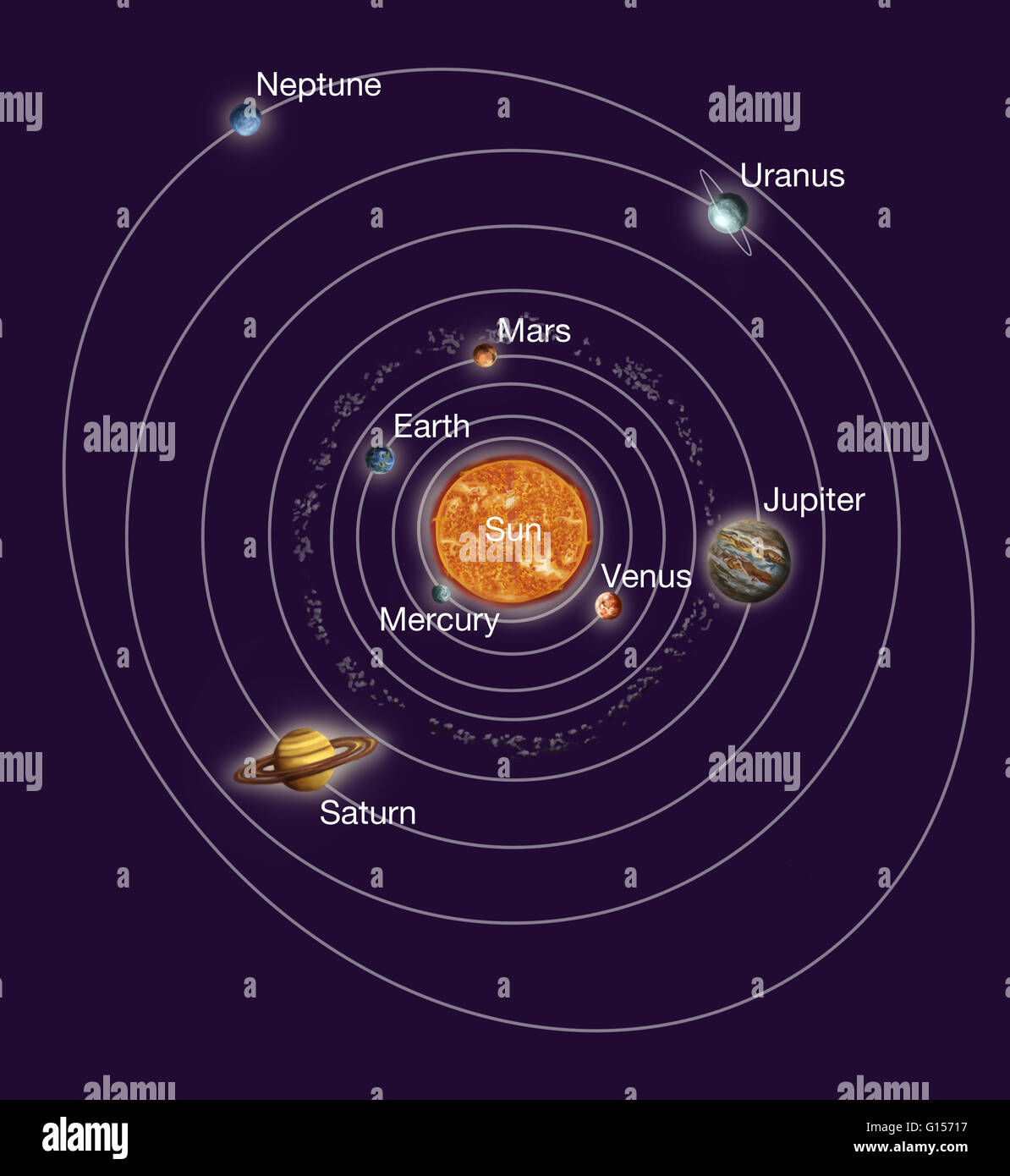 Solar System orbits. Artwork of Earth's solar system, showing the eight planets that orbit the Sun. Most of the mass of the solar system is found in the Sun. The eight planets, from inner to outer, are: Mercury, Venus, Earth, Mars, Jupiter, Saturn, Uranus Stock Photo