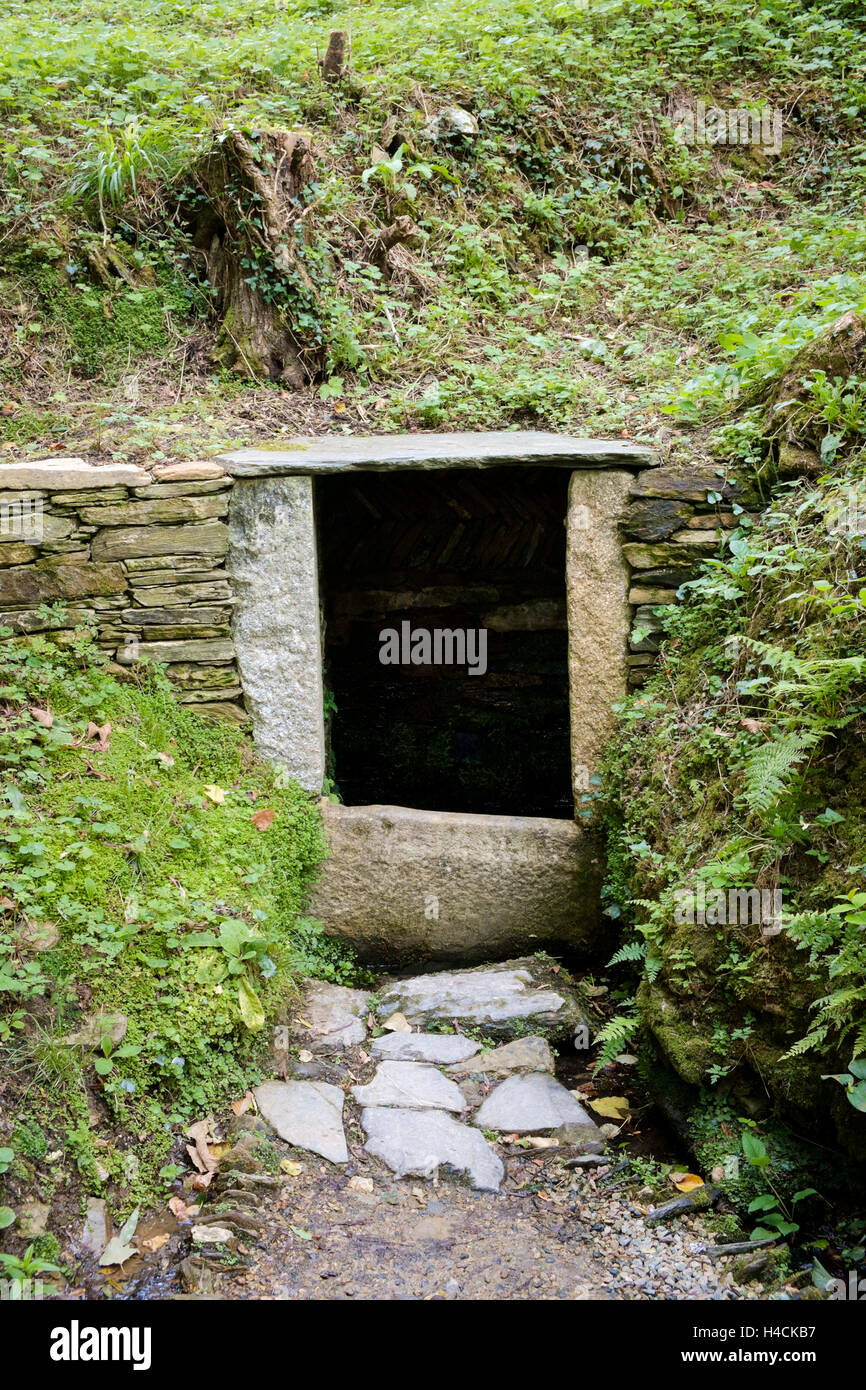 Holy Well or Sacred Spring of St Just, St Just in Roseland, Cornwall, England, United Kingdom Stock Photo