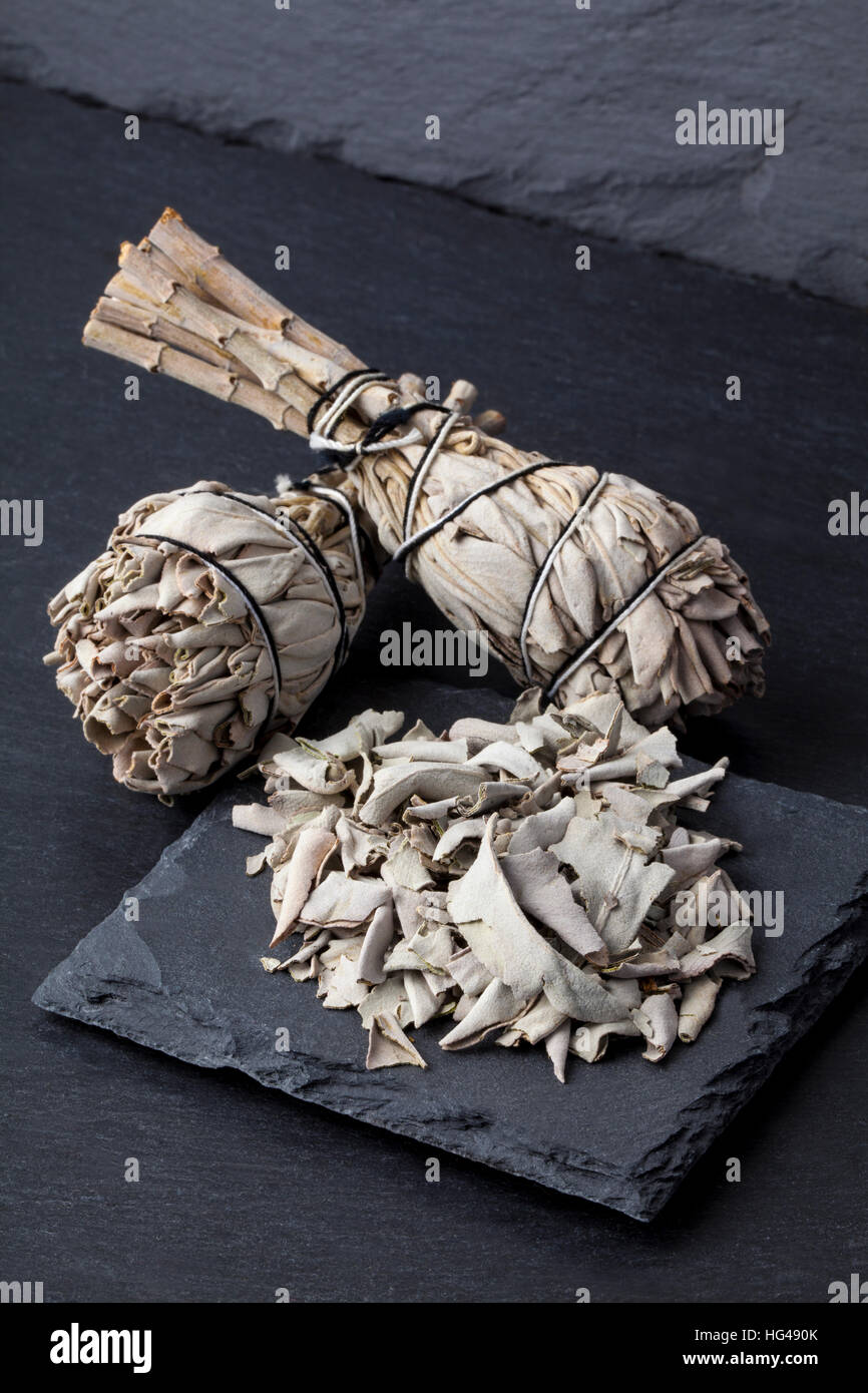 Incense of Salvia Apiana  (White sage, sacred sage, bee sage, california sage) Stock Photo