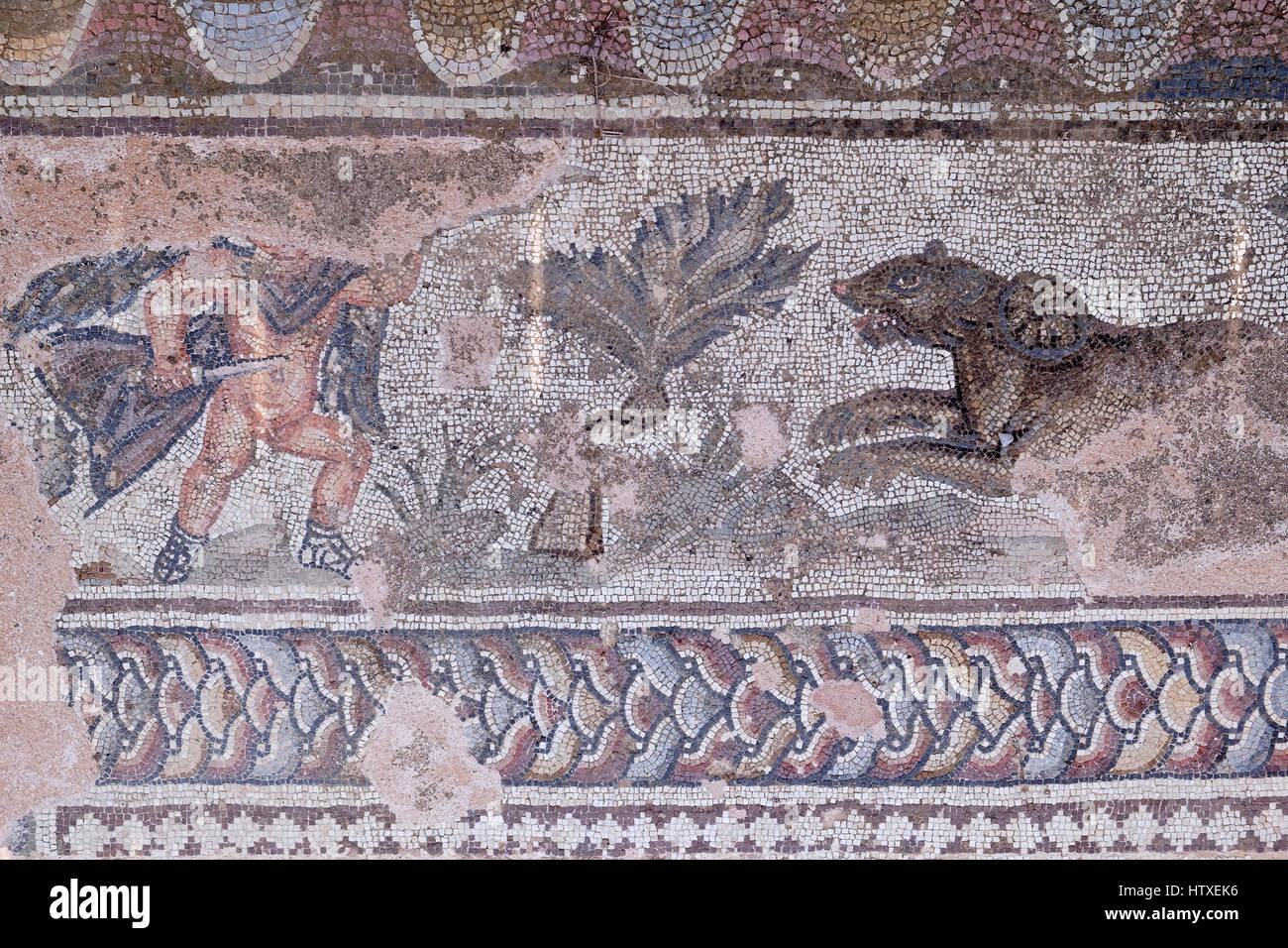 Roman mosaic in the House of Theseus, Nea Pafos, Cyprus.  Depicts gladiator facing wild beast. Stock Photo