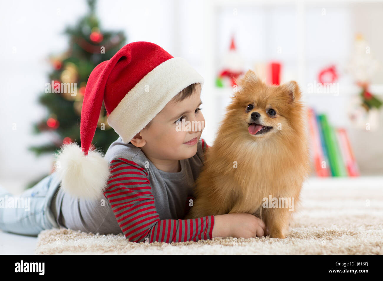 Happy kid little boy and dog at Christmas Stock Photo