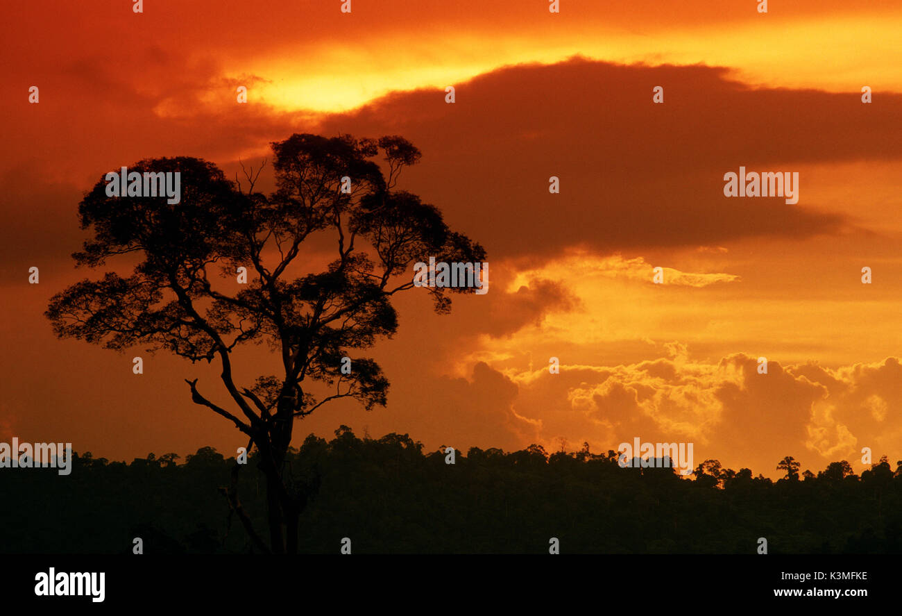 SACRED PLANET [US Stock Photo