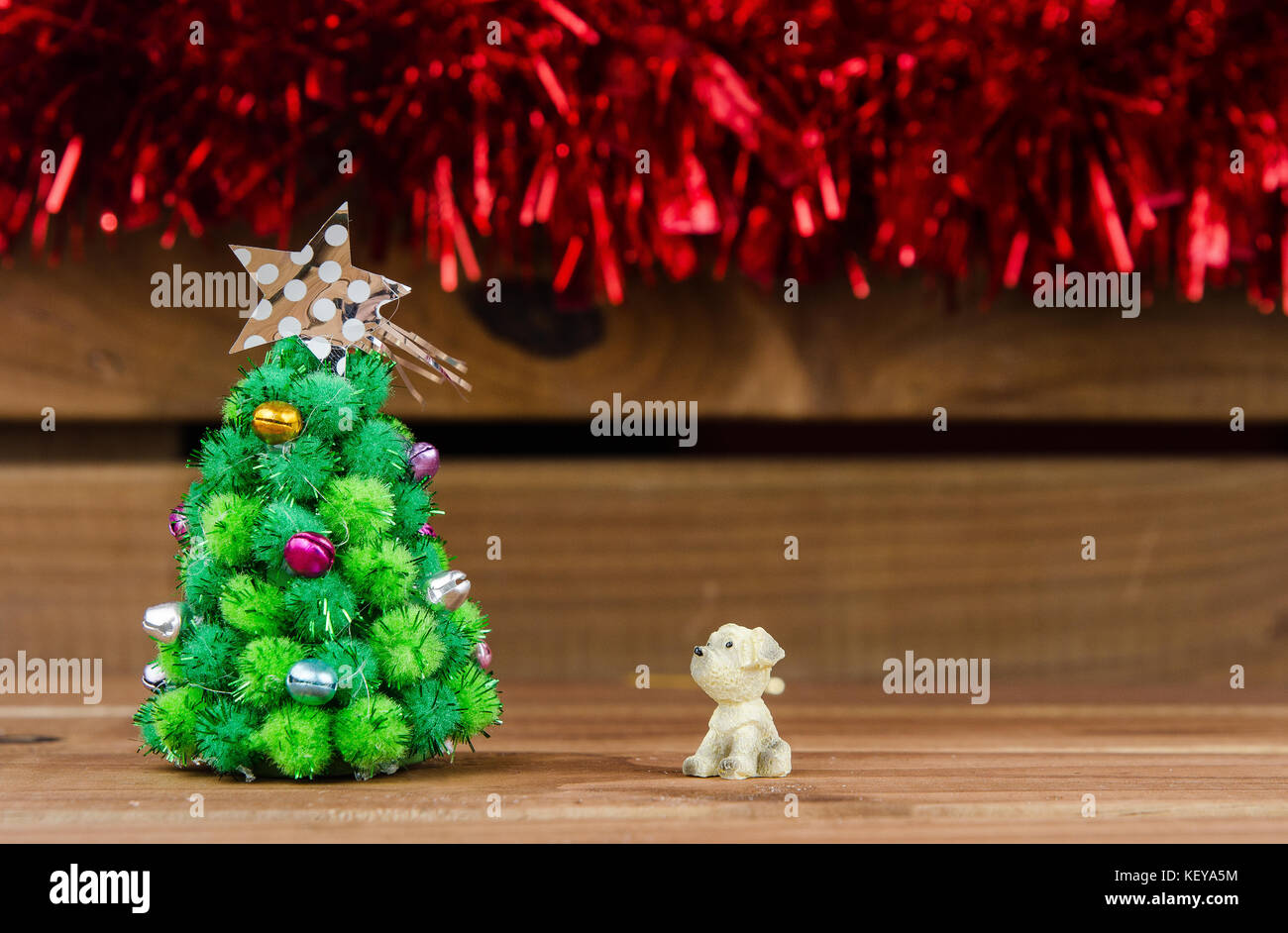 dog looking Christmas tree Stock Photo