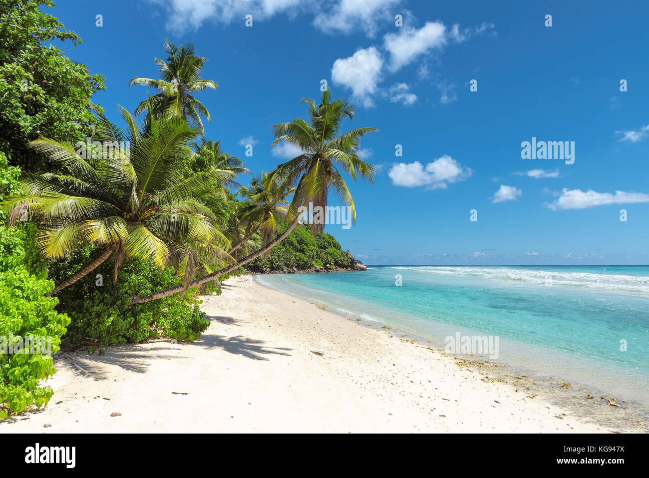 Tropical beach Stock Photo