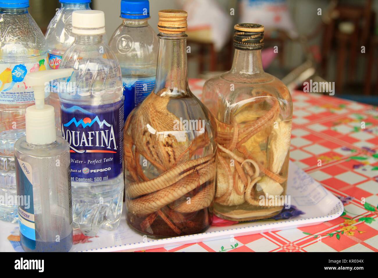 Vietnamese snake wine, Mekong Delta, Vietnam Stock Photo