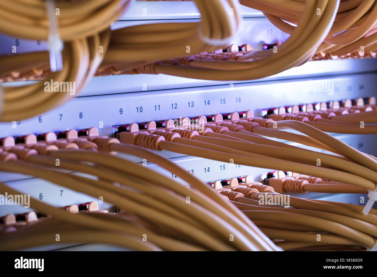 Closeup of yellow cables connected to server Stock Photo