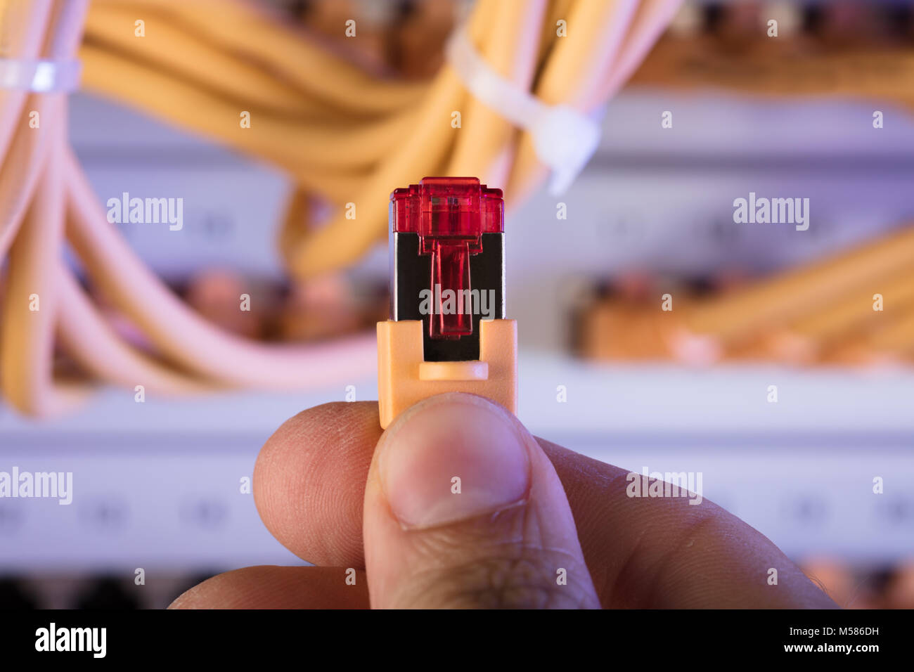 Cropped image of hand holding network cable plug in server room Stock Photo