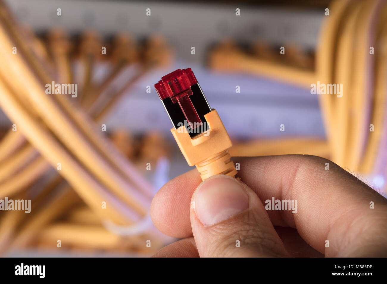 Cropped image of hand holding network cable plug in server room Stock Photo