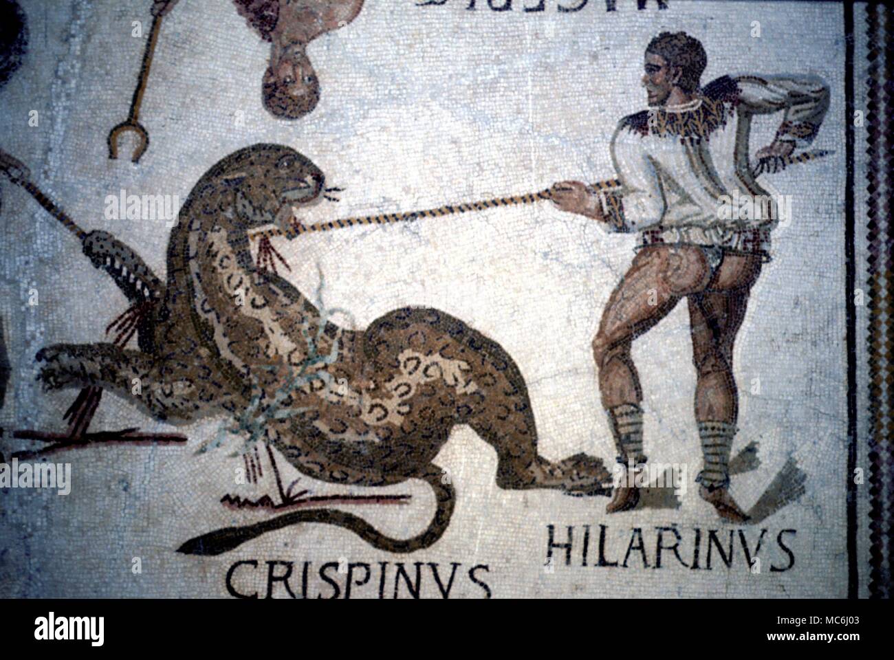 Roman Mythology Gladiators A gladiator named Hilarinus attacking a tiger with a pilus Detail of the gladiators mosaic in Sousse museum Tunisia Stock Photo