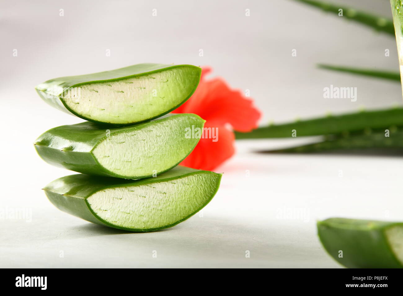 Closeup image- fresh wild aloe vera slices Stock Photo