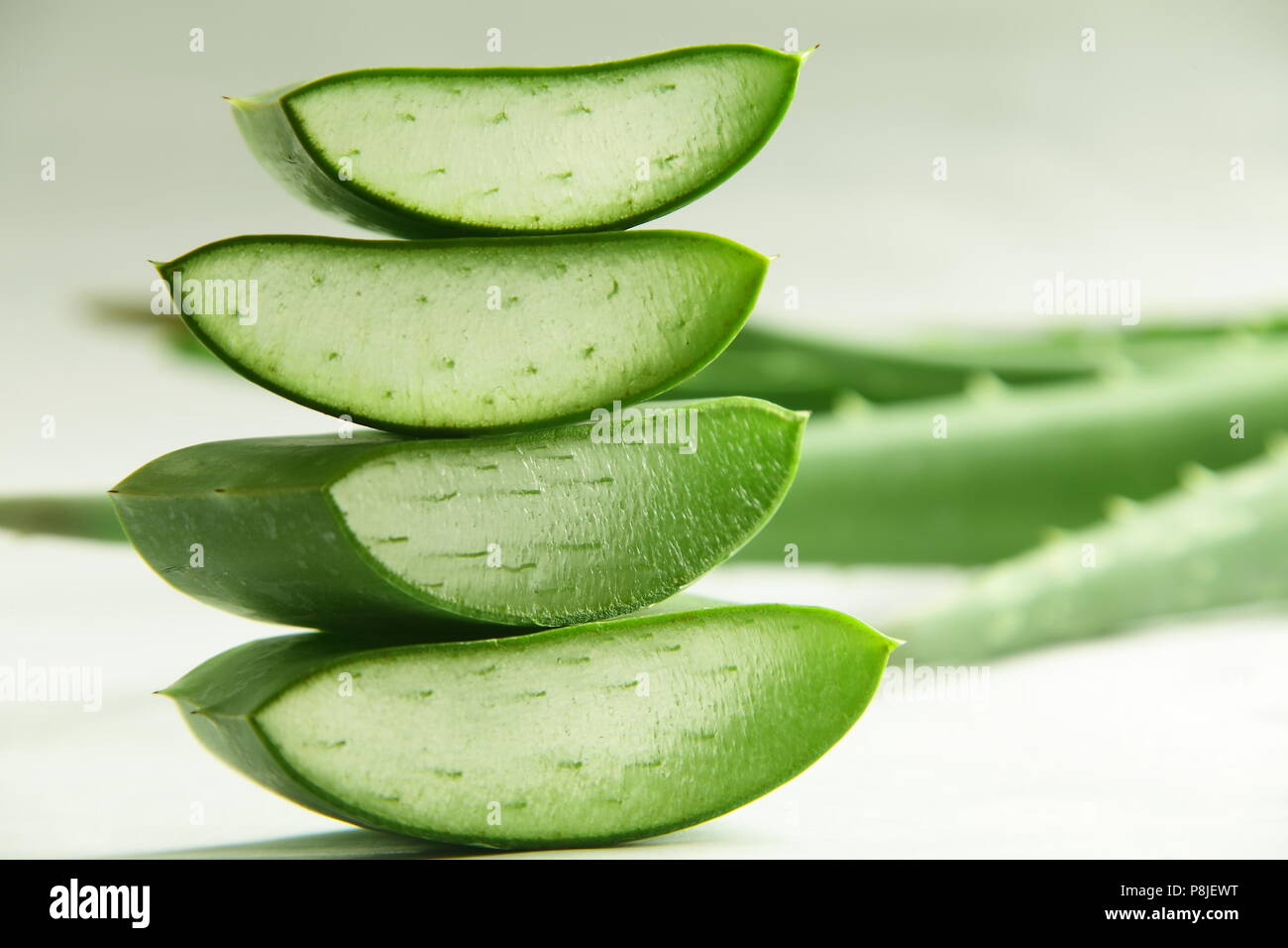 Closeup image- fresh wild aloe vera slices Stock Photo