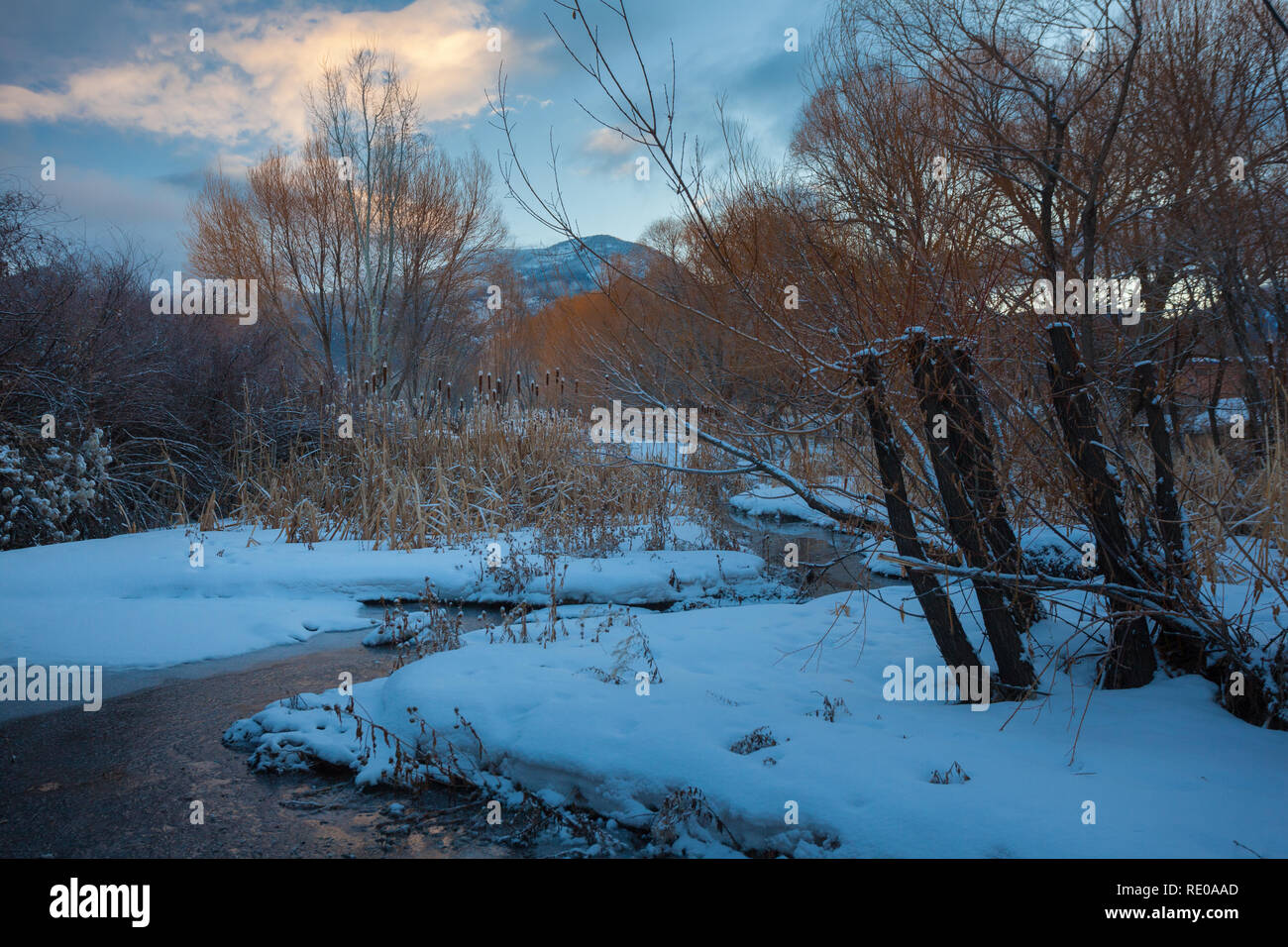 Arroyo Hondo, Taos County, New Mexico, USA Stock Photo