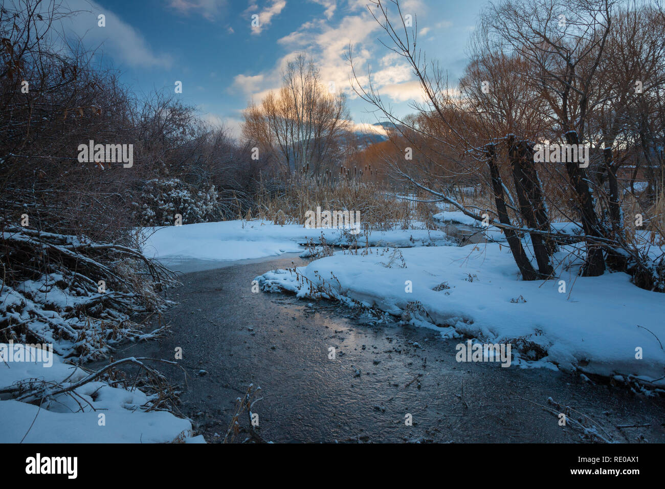 Arroyo Hondo, Taos County, New Mexico, USA Stock Photo