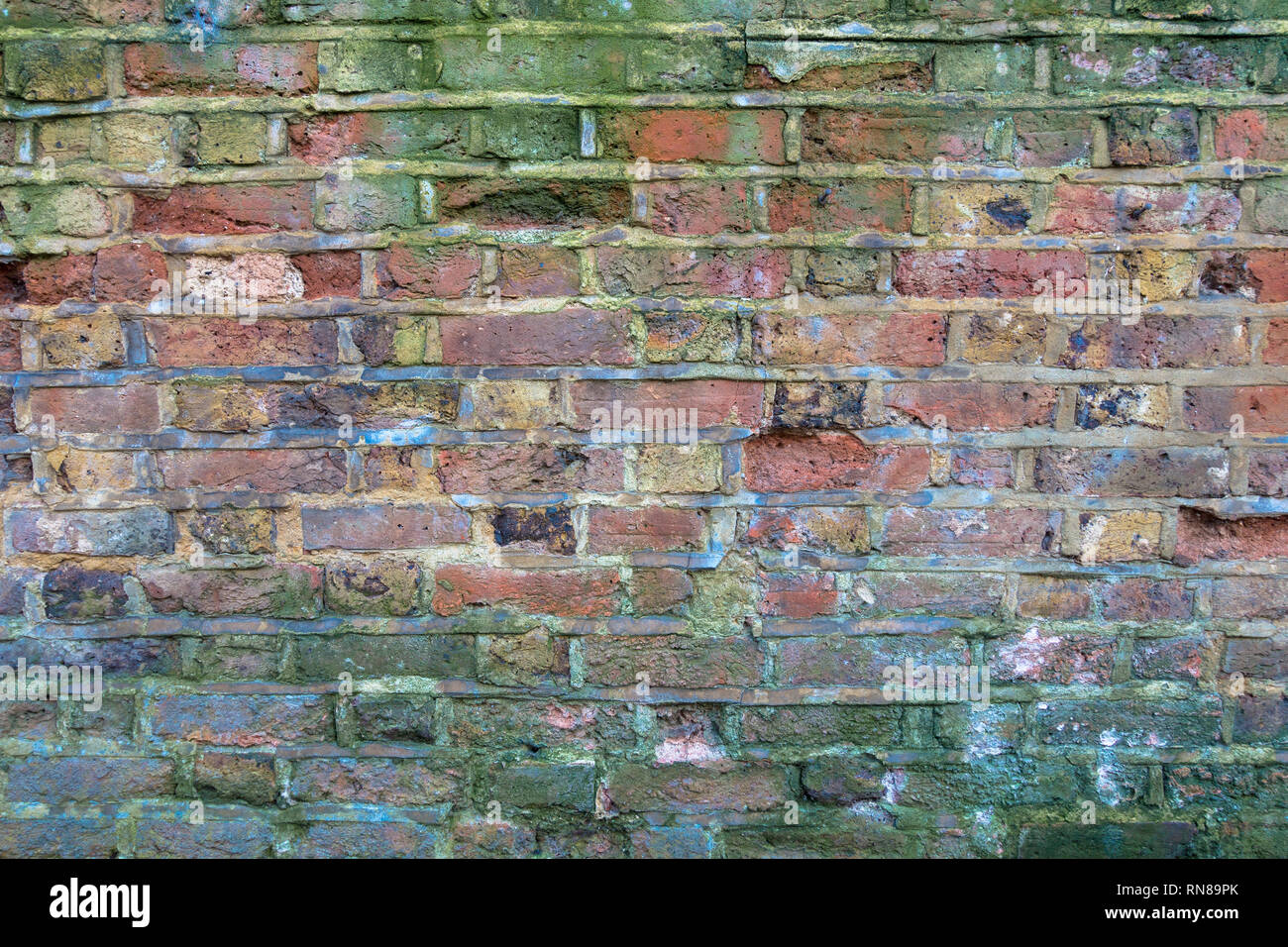 An old brick wall which is starting to crumble and is stained green by algae. Stock Photo