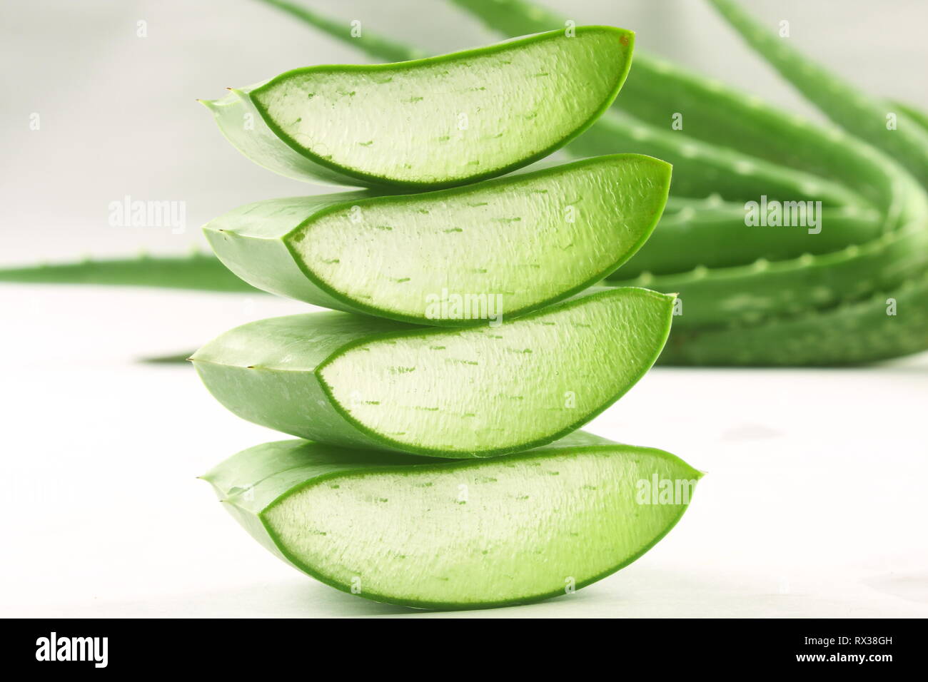 Closeup image- fresh wild aloe vera slices Stock Photo