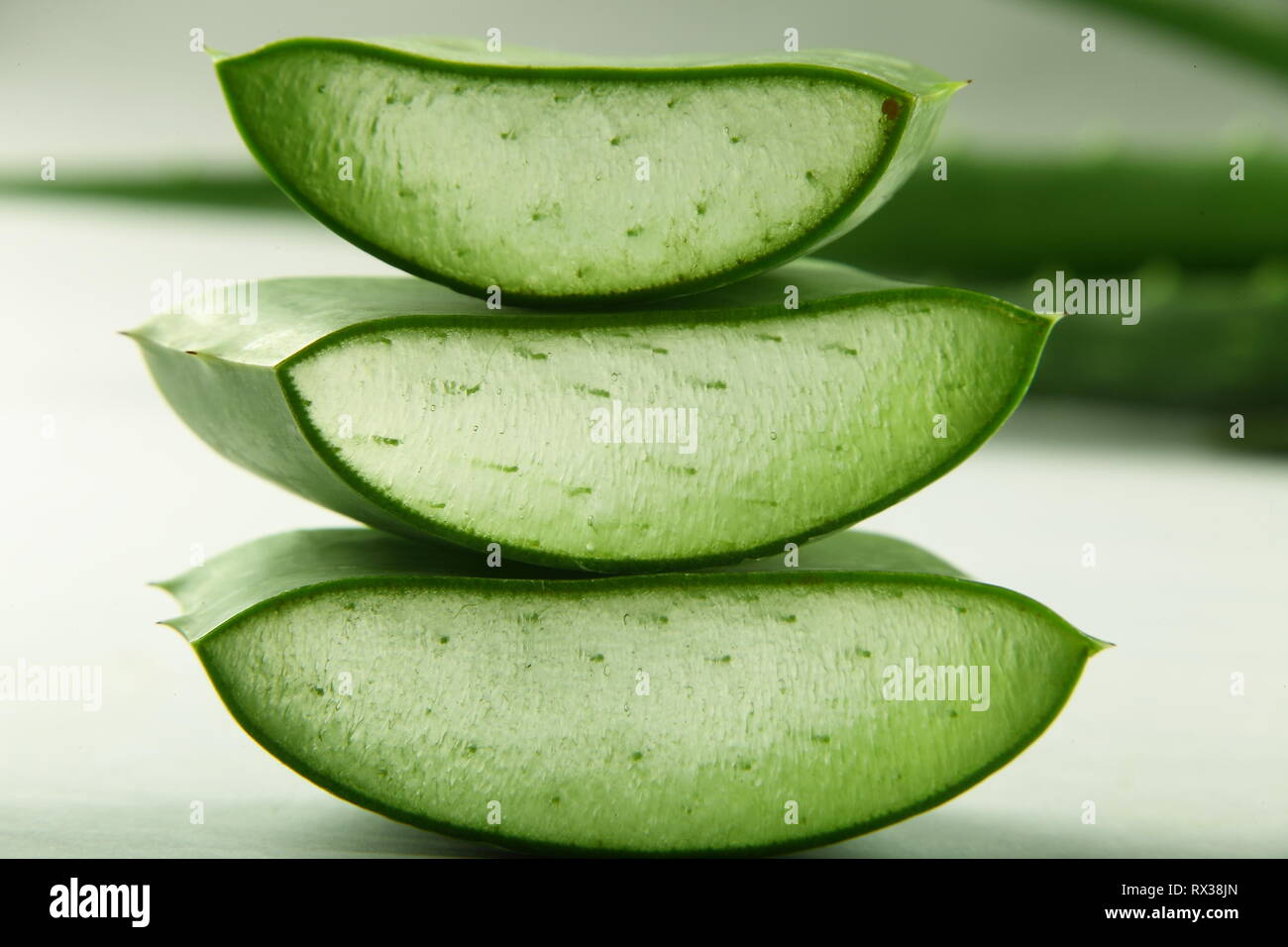 Closeup image- fresh wild aloe vera slices Stock Photo