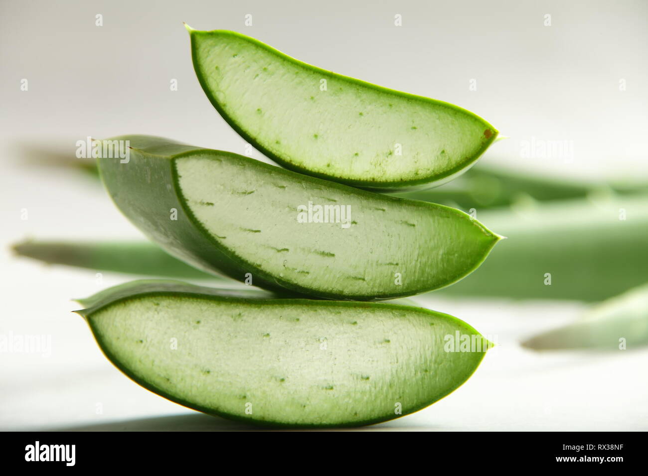 Closeup image- fresh wild aloe vera slices Stock Photo