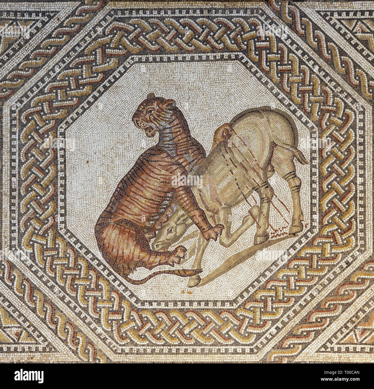 Editorial: NENNIG, SAARLAND, GERMANY, September 2, 2018 - A tiger killing a donkey depicted in the Roman villa in Nennig Stock Photo