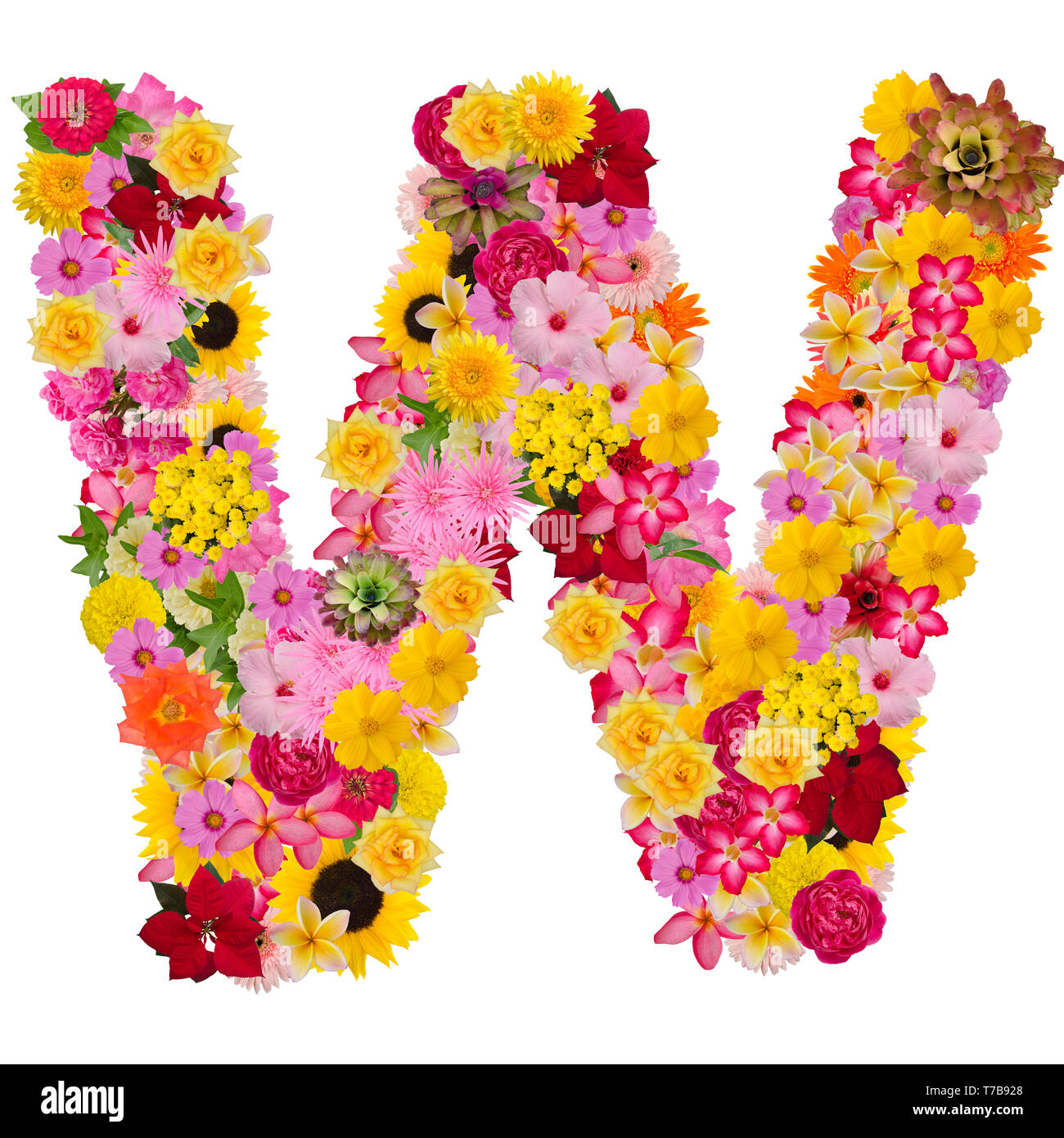 Letter W alphabet with flower ABC concept type as logo isolated on white background. With clipping path Stock Photo