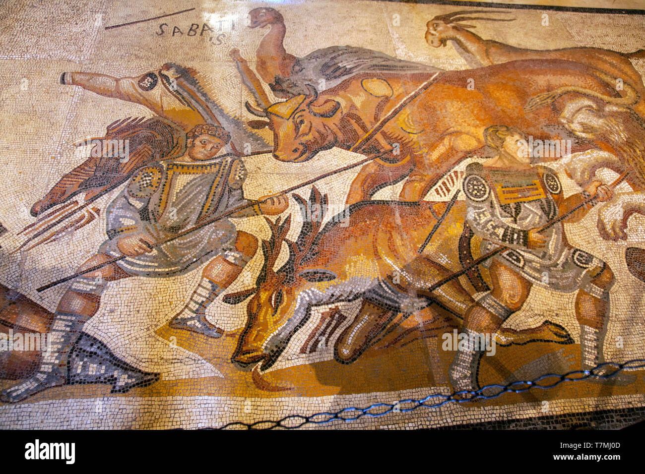 Imperial Roman art Fragment of mosaic with scenes of Venatio. Galleria Borghese, Rome, Italy Stock Photo