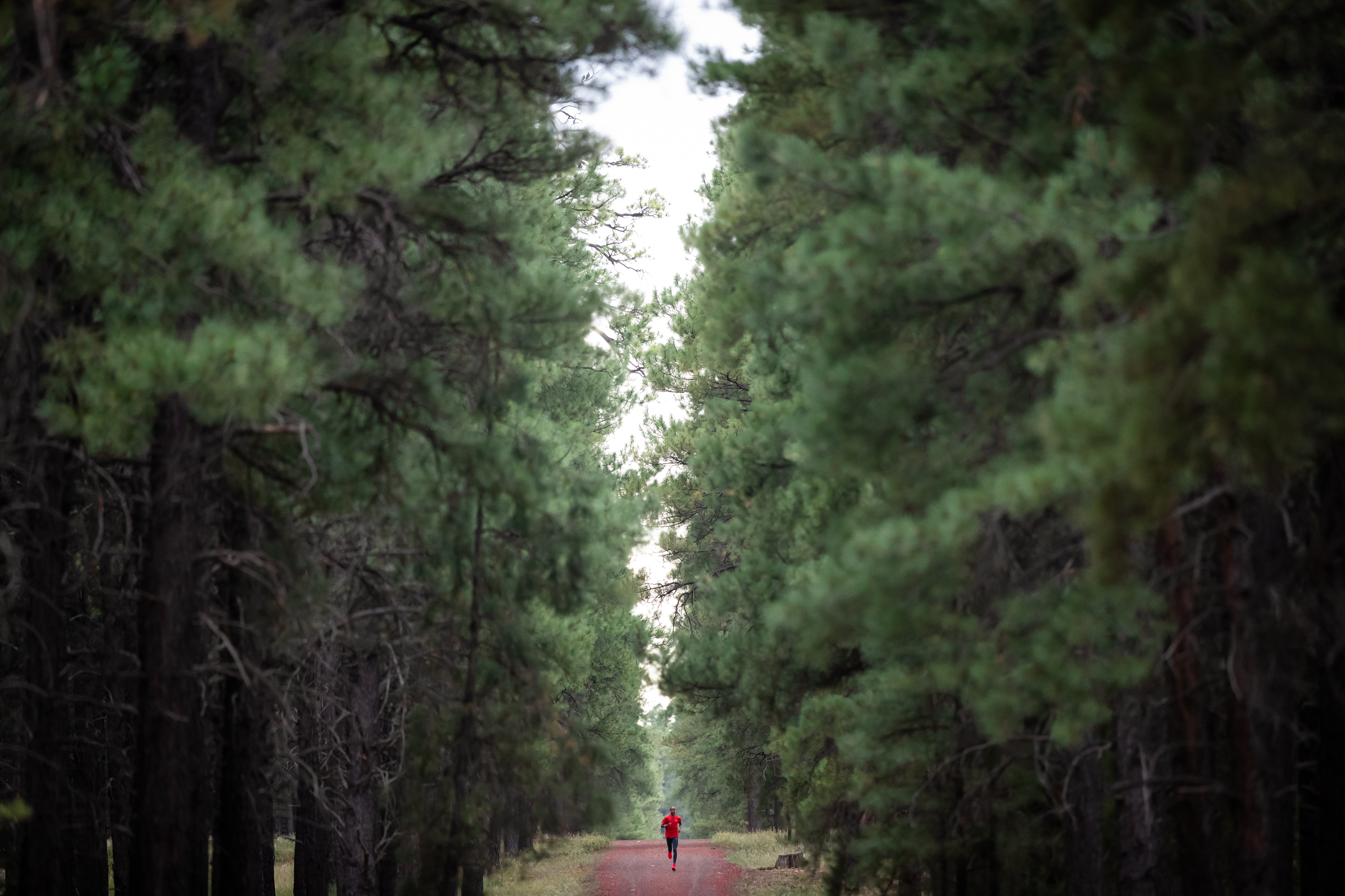 FLAGSTAFF, UNITED STATES - AUGUST 28: Mo Farah on a evening training run on August 28, 2019.