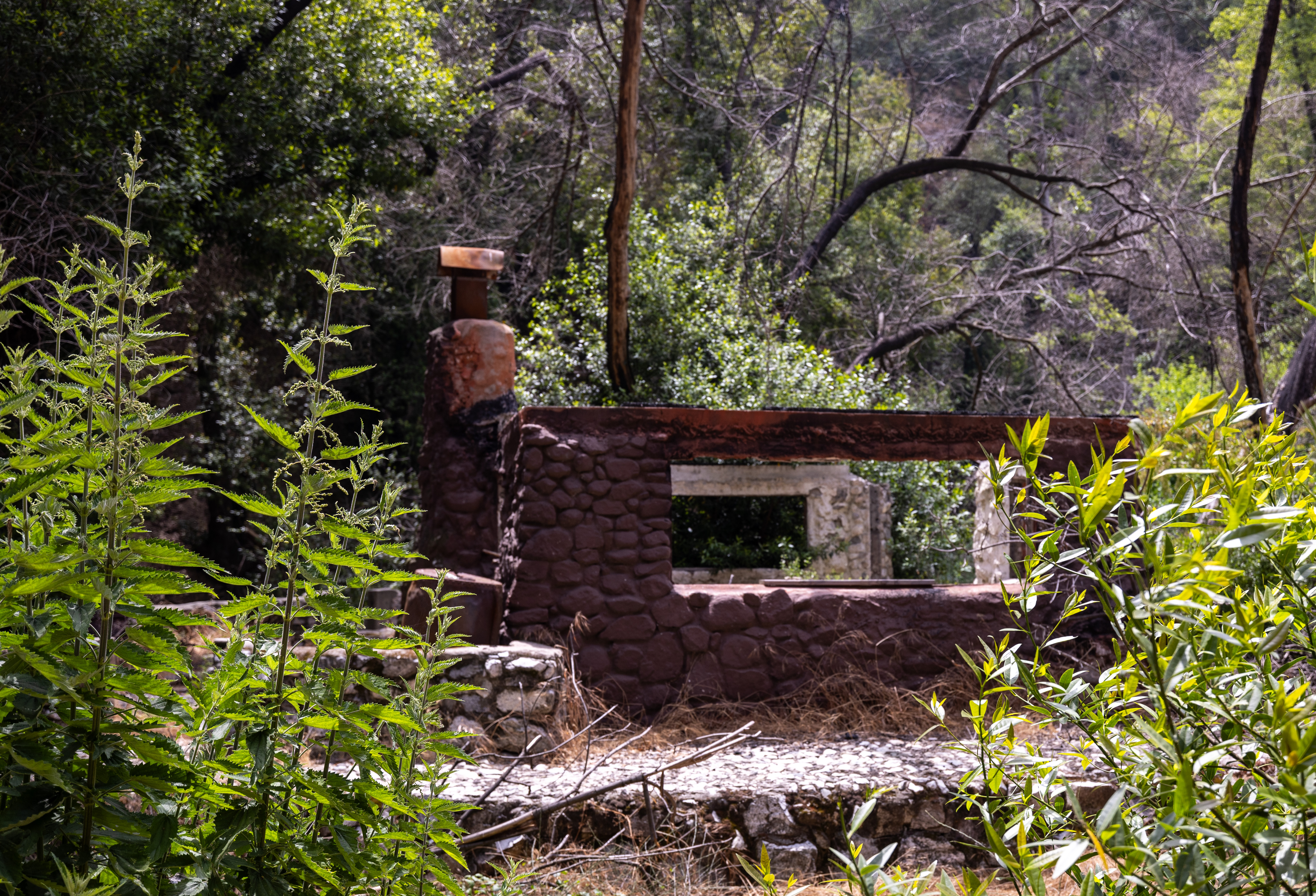 A cabin structure, burned by the 2020 Bobcat fire, stands amid vegetation and trees.