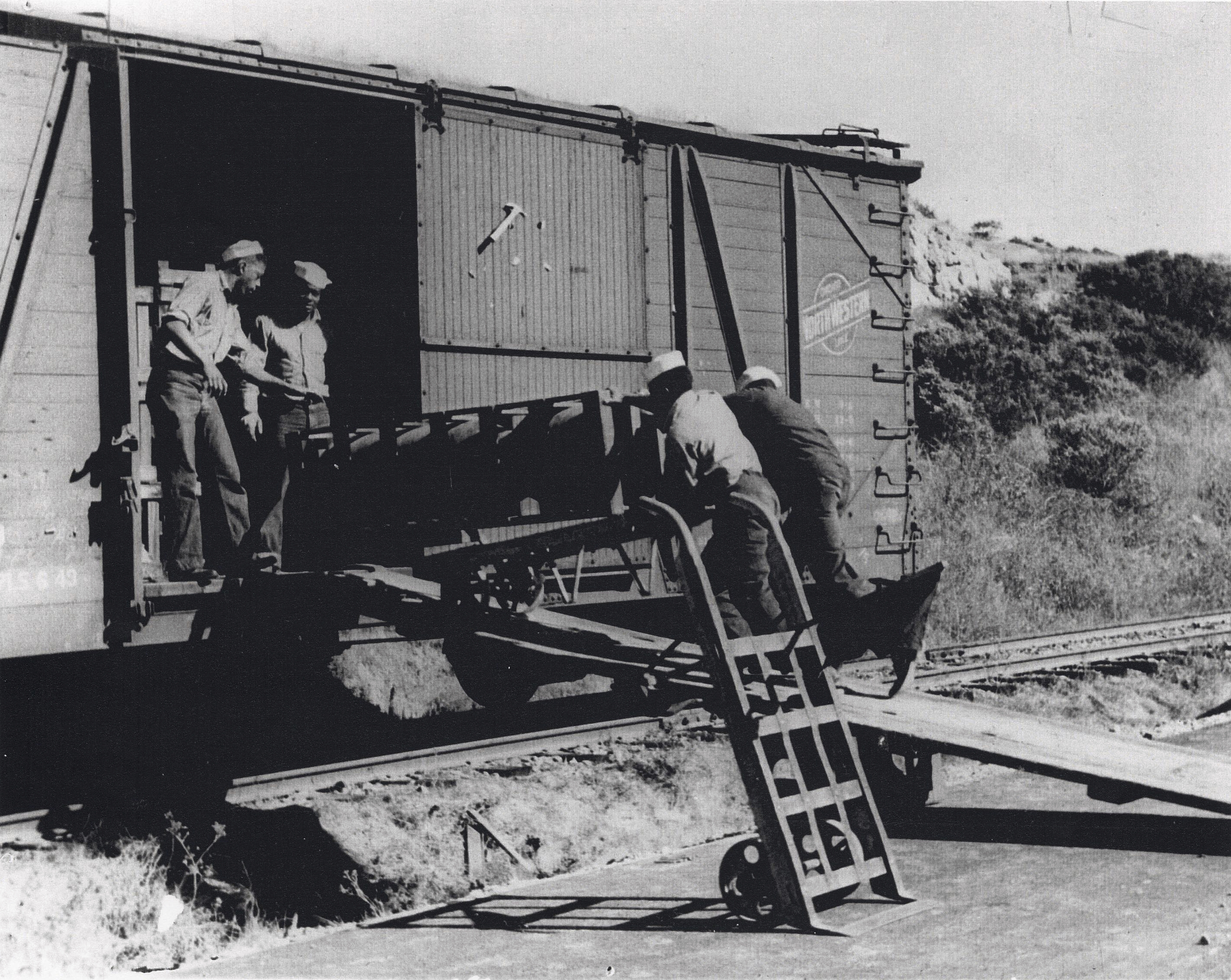 This image provided by Naval History and Heritage Command, shows African American 