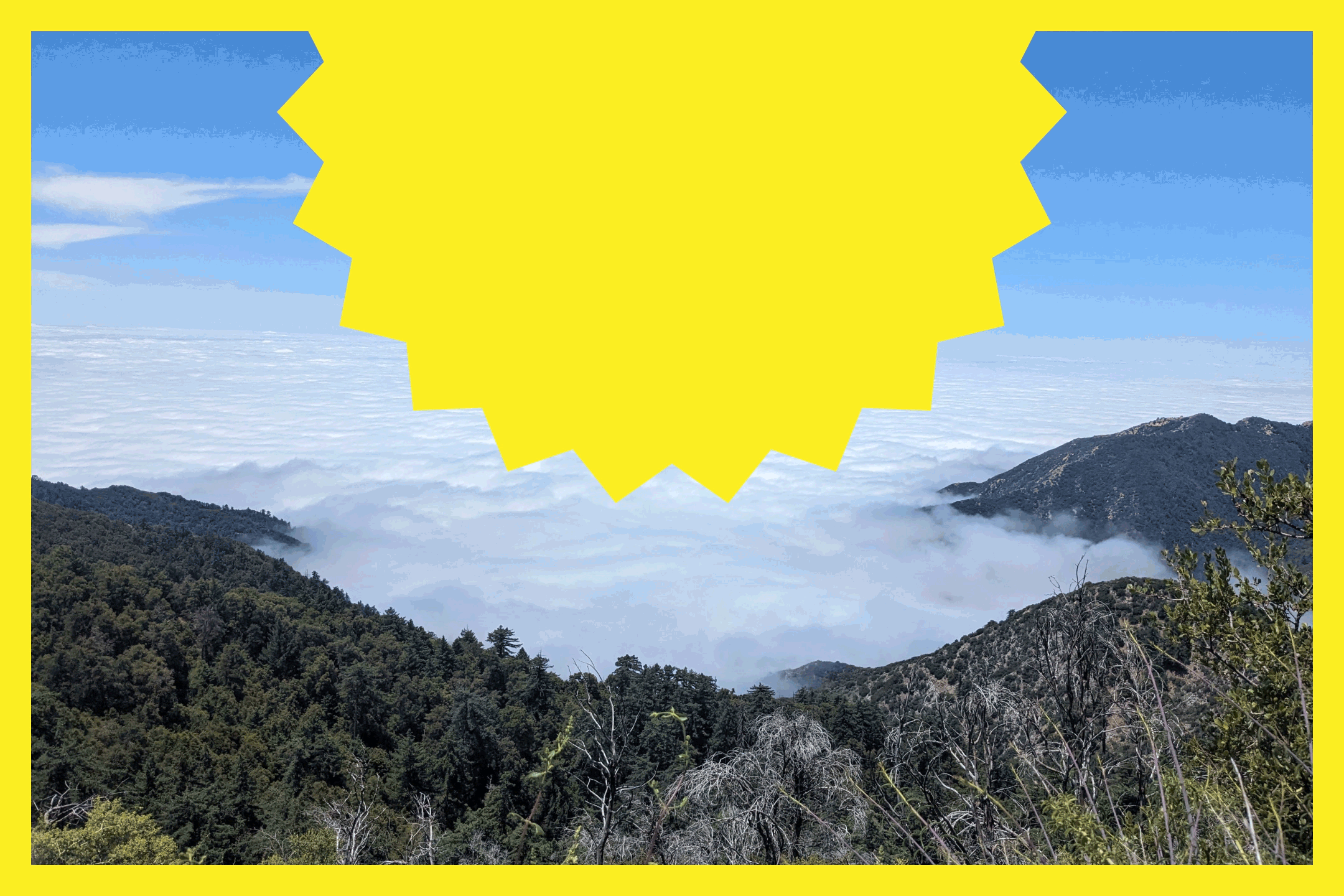 A view from Mt. Wilson Trail looking out to clouds and trees
