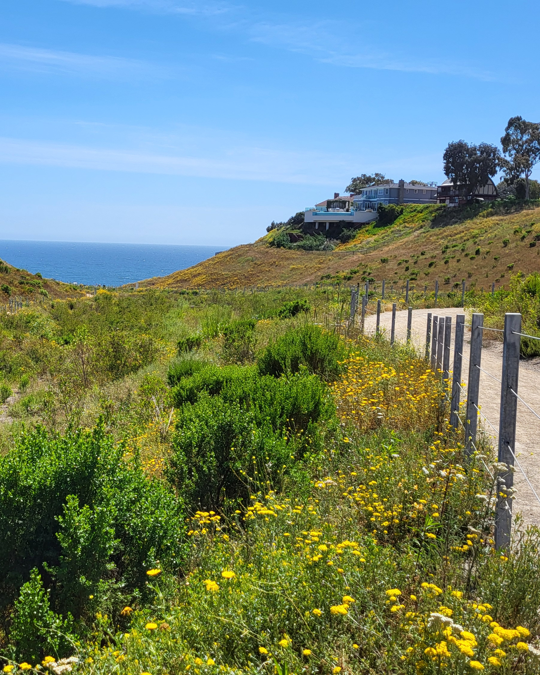 A curving path at George Wolfberg Park at Potrero Canyon.