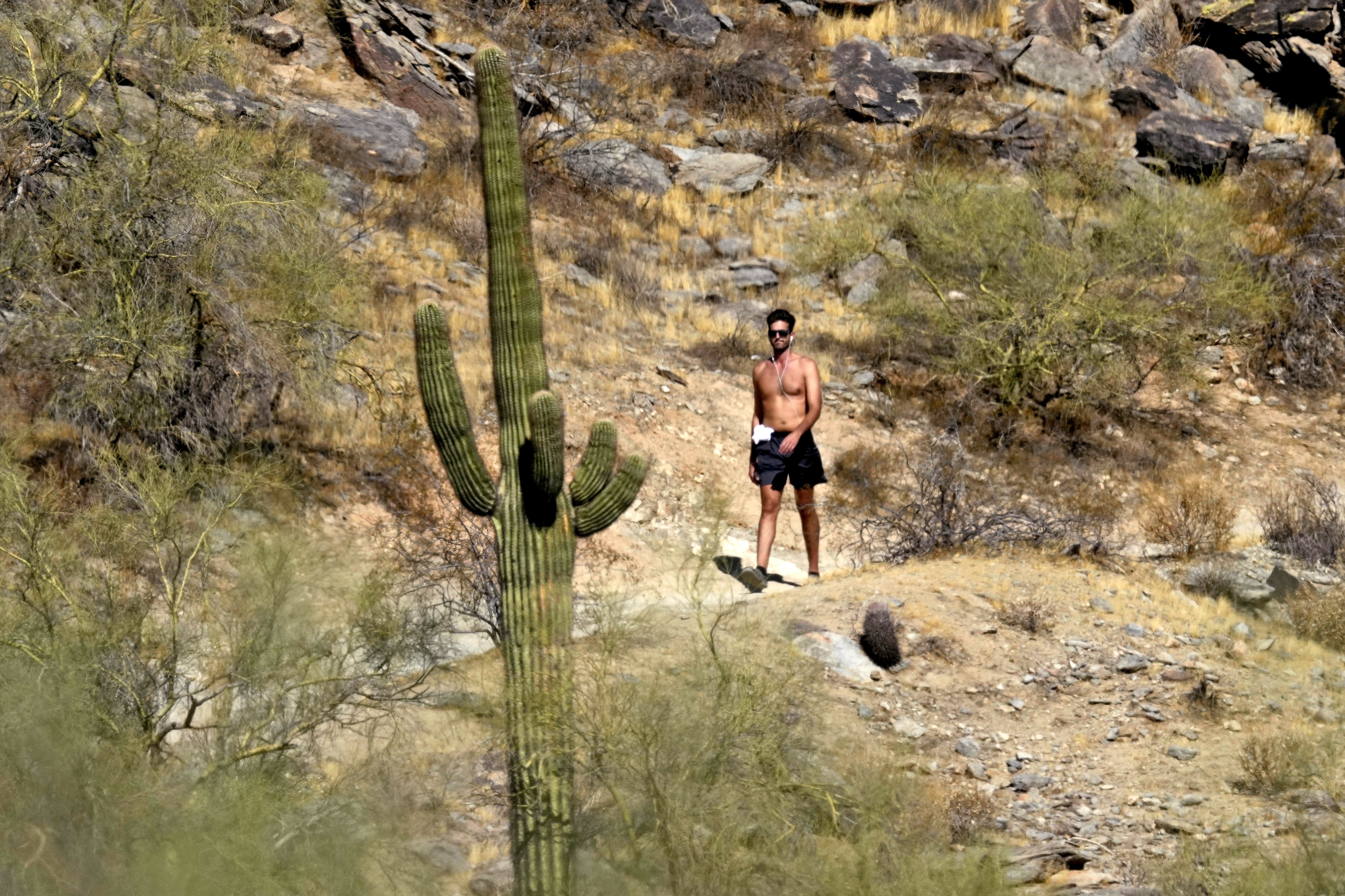 A shirtless man walks on a trail, with a cactus in the foreground