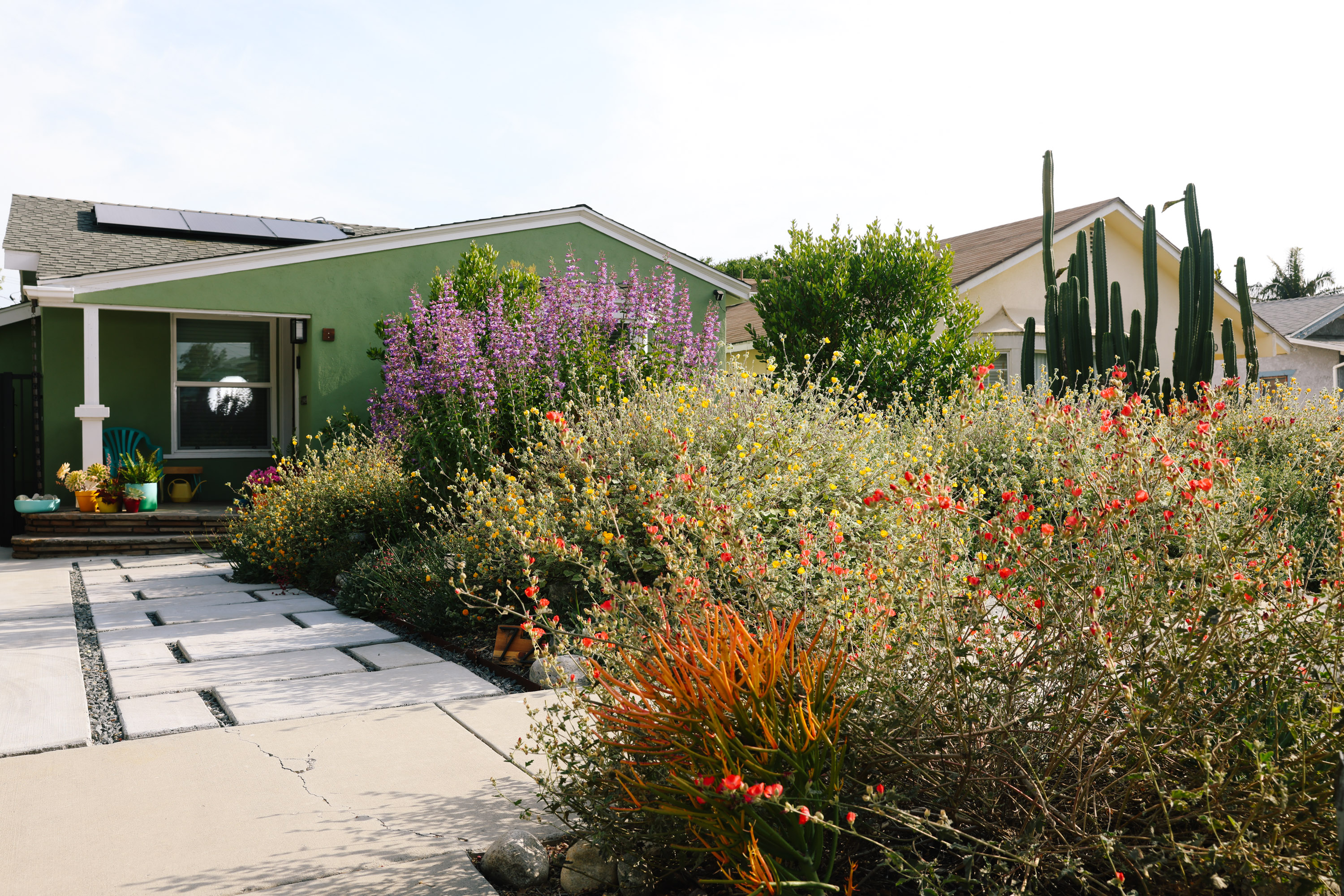 Los Angeles, CA - May 09: Brian Bautista did all the design and labor planting a California habitat at his home on Tuesday, May 9, 2023 in Los Angeles, CA. He paid for part of the upgrade with an $8,000 Turf Removal Rebate from the LADWP. (Dania Maxwell / Los Angeles Times).