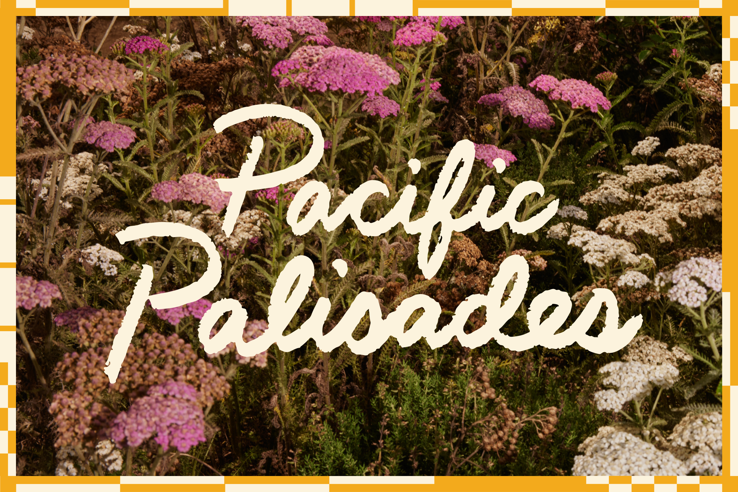 handwritten typography: Pacific Palisades 