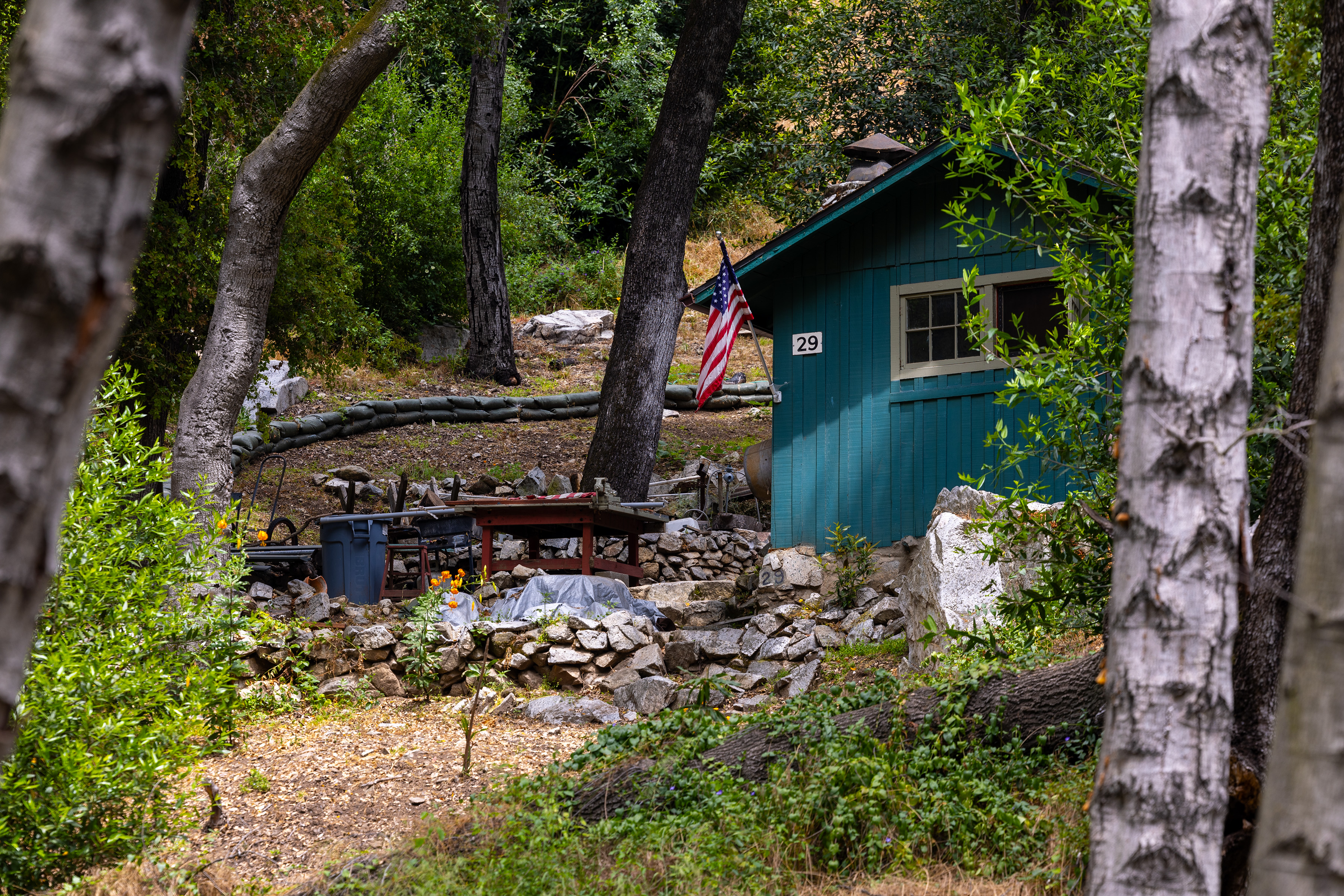 Cabin 29, tucked away in the trees and flying an American flag.