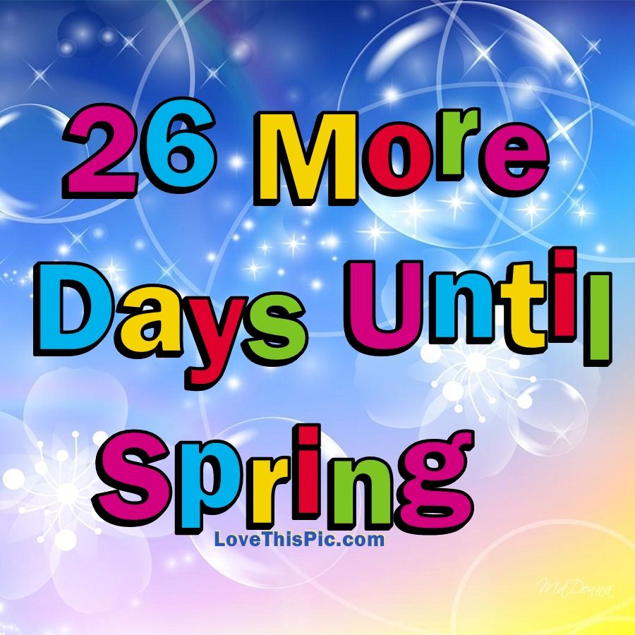 26 More Days Until Spring