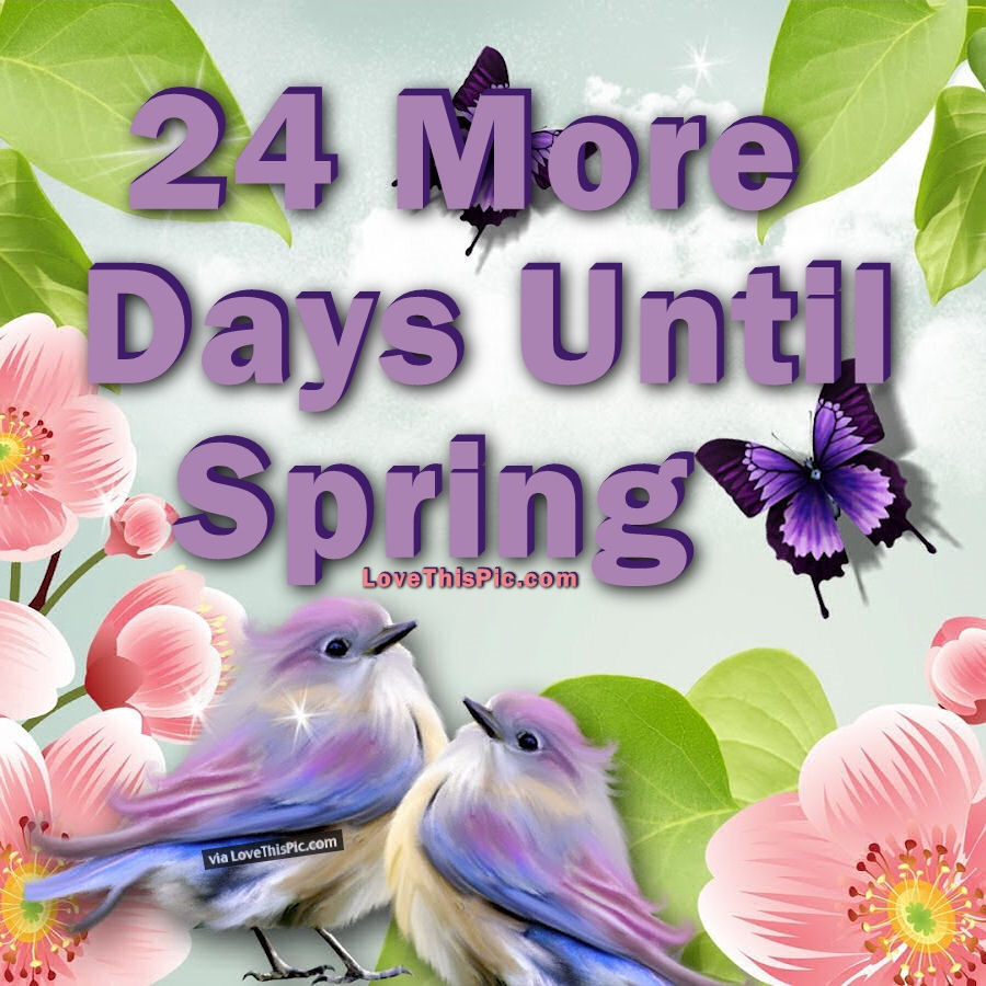 24 More Days Until Spring