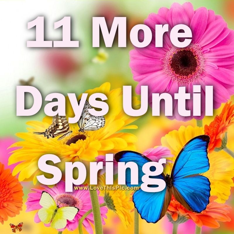 11 More Days Until Spring