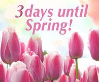 3 days until Spring