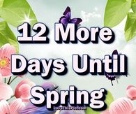 12 More Days Until Spring